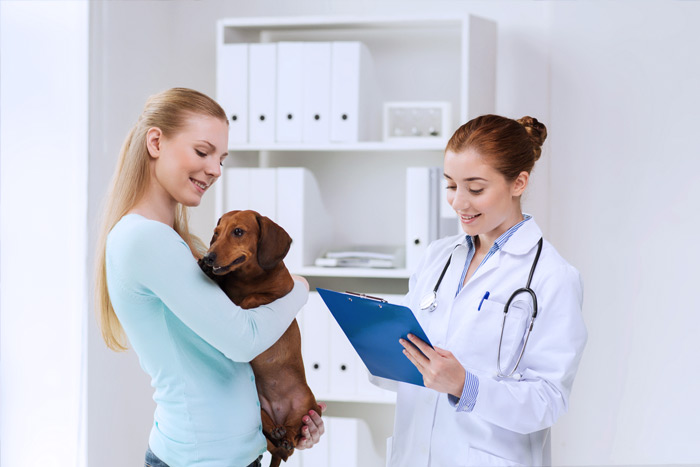ЭЦП для оформления ветеринарных сертификатов (ГИС Меркурий) в Лермонтове